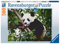 Ravensburger - Puzzle Adulte - Puzzle 500 p - Le panda - 16989