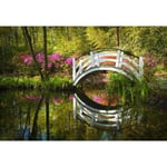 Papier Peint Photo INTISSÉ-(204098)-PONT SUR L'ÉTANG DE JARDIN-300x223cm-6 lés-Mural Poster Géant XXL-Fleur Beach Mer Océan Nature