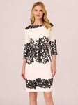 Adrianna Papell Scroll Lace Short Dress, Ivory/Black