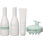 Björn Axén Scalp Bundle Shampoo 250 ml & Conditioner 250 ml & Detox Sc