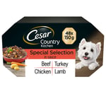 48 X 150g Cesar Luxury Adult Wet Dog Food Trays Mixed Selection In Sauce