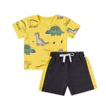 HINK Baby Outfit Unisex,Toddler Baby Boys Girls Short Sleeve Cartoon Dinosaur Tops+Shorts Sports Outfits 12-18 Months Yellow Girls Outfits & Set For Baby Valentine'S Day Easter Gift