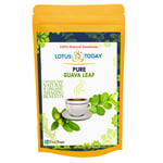 Guava Leaf  120 Tea Bags Detox weight Loss Diabetic Diet Tea Herbal Tea bags