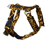 Gustaf och Evita Kattsele Strap Leopard Nr 2