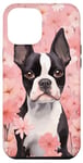 Coque pour iPhone 14 Plus Boston Terrier et fleurs de cerisier roses en rose