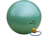 Spartan Gymball Spartan 65 Cm