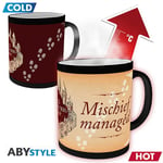 Harry Potter - Mug thermo-réactif Misfits Managed - ABYstyle