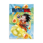 Grupo Erik - Poster Dragon Ball, Toile Murale Tissu 70 x 100 cm | Poster Manga, Décoration Murale, Kamekono