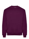 French Sweatshirt Tops Sweat-shirts & Hoodies Hoodies Purple Les Deux
