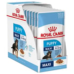 Våtfoder Royal Canin Maxi Puppy 10 x 140 g