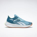 Reebok Floatride Energy Symmetros 2 Shoes Women Blue Pearl / Steely S23-R Cloud White