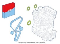 Packboxsats - Fiat - Renault - Iveco - Peugeot - Citroen - Mercedes - Opel - VW