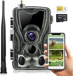 LKM Security GekoWild Photopiège 4K 4G LTE avec résolution Ultra 30 mégapixels Grand Angle de Vision 120° Prise de Vue 0,3 Seconde IP65