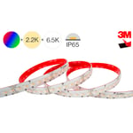 LED STRIP 5M 24W/METER