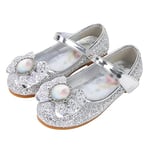 Eleasica Fille Talons Plats Chaussures de Princesse Reine des Neiges Elsa Anna Paillettes Déguisement Violet Argenté Bleu Rose Doux Halloween Noël Anniversaire Carnaval Cosplay ,27 EU,Argenté