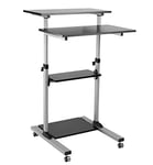 ROLINE Poste de travail pour station debout réglable en hauteur I Bureau PC sur roulettes I Hauteur de 81-137,8 cm I noir/gris