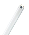 LEDVANCE Fluorescent tube L 36W/830 ( C) - BULK