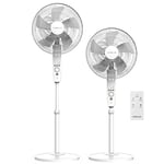 Newlux - Ventilateur sur pied avec télécommande W550 Smart 5 pales Ø40 cm, 3 vitesses et 3 modes. Ventilateur oscillant avec hauteur réglable jusqu'à 121cm, minuterie et moteur en cuivre (blanc)