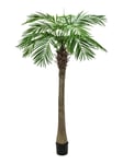 EUROPALMS Phoenix palm tree luxor, artificial plant, 240cm, Konstgjord palm Europalms Fenix palm Lyx, 240cm