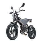 RANDRIDE DM711 20'' elcykel, 2*1000W motor, 20AH batteri, Shinamo 7 speed, fat tire elcykel