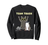 Street Cats Raccoon Opossum Rat Team Trash Funny Animal Sweatshirt