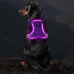 Light Up Dog Harness, Rechargeable LED Dog Harness for Puppy Small Medium Large Dog, 3 Lighting Modes Glowing in the Dark Dog Harness Adjustable Waterproof for Night Walking(Purple XS)