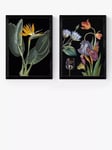 EAST END PRINTS Natural History Museum 'Dark Floral' Framed Print, Set of 2