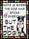 Shawprint Border Collie Dog Fridge Magnet 100mm x 75mm HOME IS WHERE THE DOG HAIR STICKS TO EVERYTHING BUT THE DOG Novelty Gift