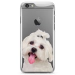 iPhone 6 Plus/6s Plus TPU Skal - Bichon Frisé