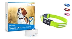 Tractive - GPS pour Chien + Collier LED. Localisation en Direct, portée illimitée (Vert, S)