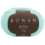 Rowan Big Wool Oasis 100% Wool Yarn - 100g