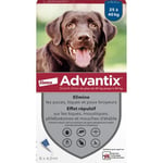 ADVANTIX Chien Solution Antiparasitaire Grande Race 25 à 40kg 6 pipettes