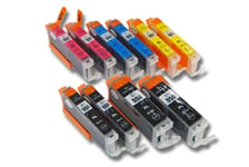 10 Multicolour Ink Cartridges for Canon Pixma MG5500 MG5600 MG5550 MG5650 +Chip