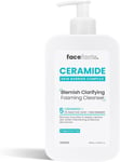 Face Facts Ceramide Blemish Clarifying Foaming Cleanser | Cleanses + Strengthen