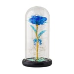 jieGorge Romantic Glass Rose Flower Wedding LED Light Decoration Valentine's Day Gift, Home Decor for Easter Day (Blue)