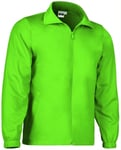 Veste De Sport Homme - Court - Vert Pomme