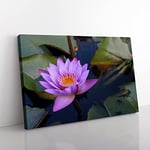 Pink Purple Flower Lotus No.1 Modern Canvas Wall Art Print Ready to Hang, Framed Picture for Living Room Bedroom Home Office Décor, 60x40 cm (24x16 Inch)