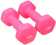 qiuqiu Dumbbells, Non-slip, Hexagonal, for Muscle Building, Strength Building, Weight Loss for Adults and Adolescents-rose