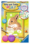 Ravensburger - 296828 - Numéro d'art Set Lapin Flecki