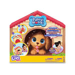 Little Live Pets Puppy Home LPP00000 Animal interactif avec + 25 Sons et réactions, Chien en Peluche, Niche et Accessoires pour Jouer, Jouet pour garçons et Filles à partir de 4 Ans, célèbre