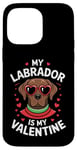 iPhone 14 Pro Max Chocolate Labrador My Valentines Hearts Day Dog Mom Dad Case