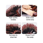 Round Barrel Hair Brush NonStatic Hairstyling Blow Drying Hair Brush For Hom TPG