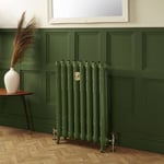 Radiateur fonte fleuri - 95 cm - Duck Green W55 de Farrow & Ball - Choix de Tailles - Charlotte