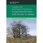 A Guide to the Identification of Deciduous Broad - Leaved Trees and Shrubs in Winter (häftad, eng)