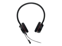 Jabra Office, Headset med Samtalshantering, Jabra Evolve 20 USB-C UC Stereo