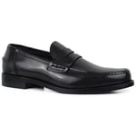 Alberto Loafers -