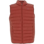 Gilet Teddy Smith  Terry bdx sm doudoune