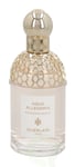 Guerlain Aqua Allegoria Mandarine Basilic Edt 75 ml