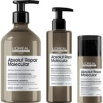 L'Oréal Professionnel Absolut Repair Molecular Trio