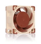 Noctua NF-A4x20 PWM Ventilateur Silencieux Haut de Gamme 4 Broches 40x20 mm M...